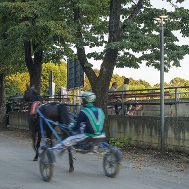 LA NOBILTÀ DEL CAVALLO