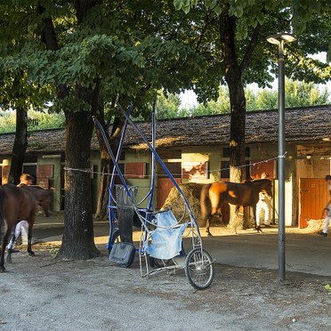 LA NOBILTÀ DEL CAVALLO