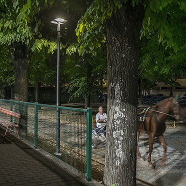 LA NOBILTÀ DEL CAVALLO