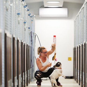 Centro Addestramento Cani Ospitaletto