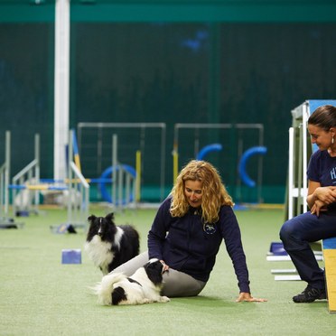 Centro Addestramento Cani Ospitaletto