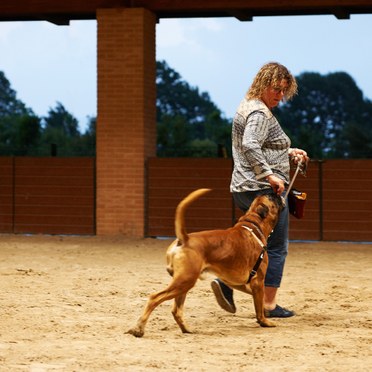 Centro Addestramento Cani Ospitaletto