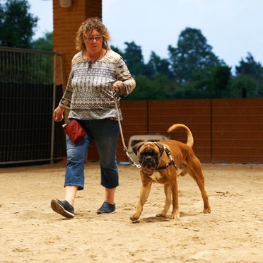 Centro Addestramento Cani Ospitaletto