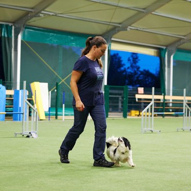 Centro Addestramento Cani Ospitaletto