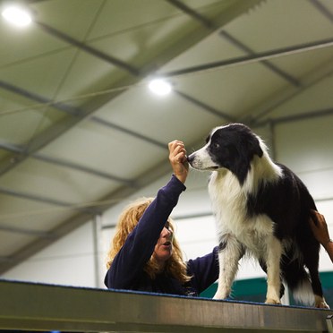 Centro Addestramento Cani Ospitaletto